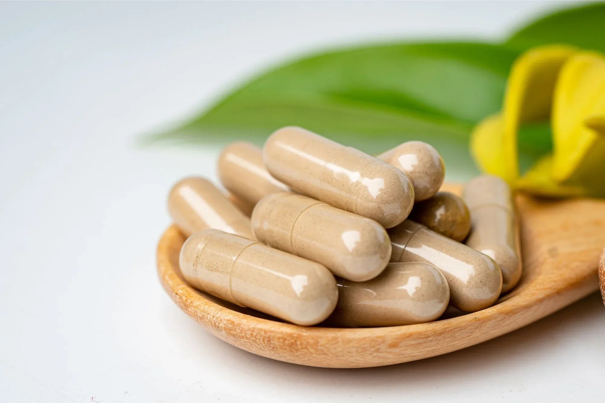 Variety of herbal supplement bottles available to buy online in New Zealand — Herbicare